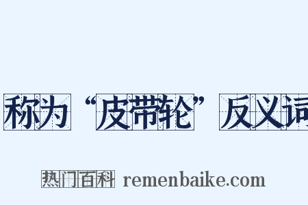 称为“皮带轮”反义词是什么意思的图片